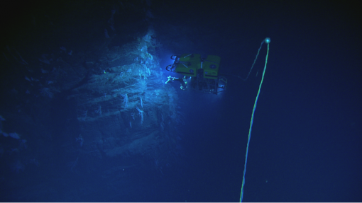 Hercules working on the side of a wall during our deepest dive of the expedition.