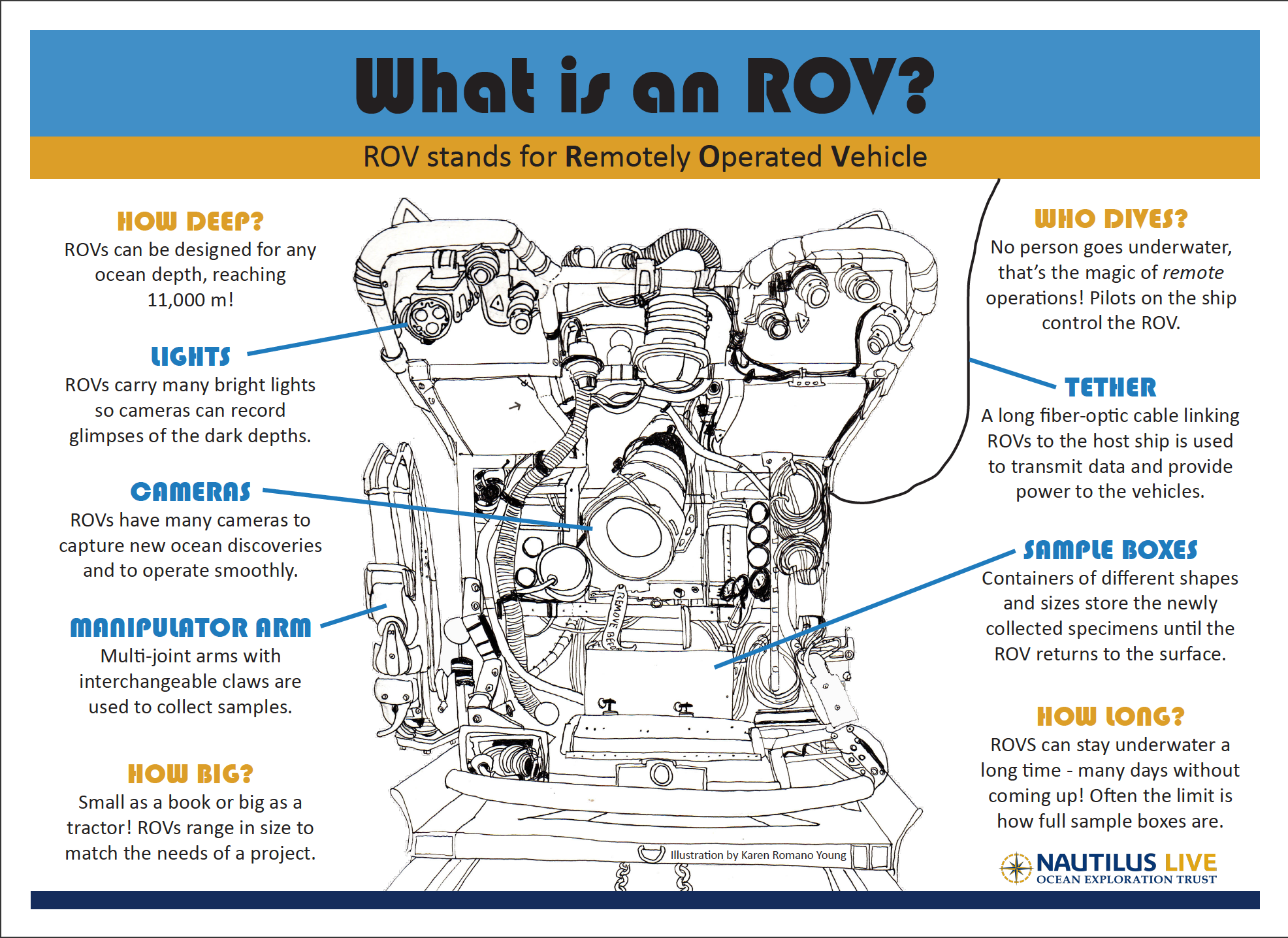 ROV Explainer Graphic Poster