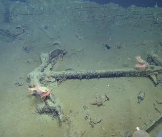 Anchor of Shipwreck