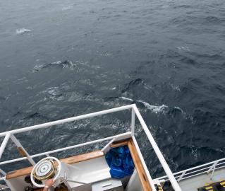 Nautilus Captain Approaches Sailboat