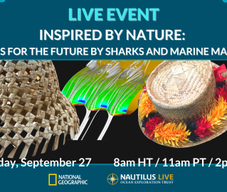 Inspired by Nature panel banner with a central image of two different Indigenous Pacific papale hats and a computer rending of fluid flow off a modeled humpback whale fluke. The even is on Tuesday, September 27 at 8 am HT