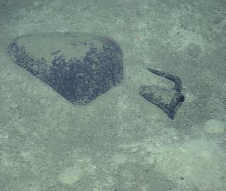 Amphora