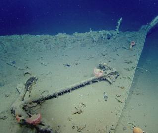 Bow of shipwreck
