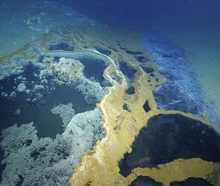 Brine pool