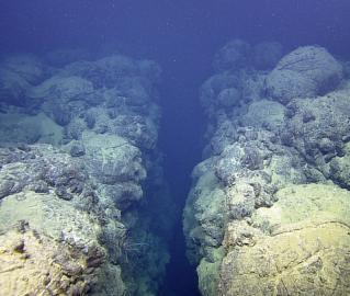 Galapagos Rift