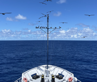 ship bow