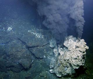 Endeavour hydrothermal vent field