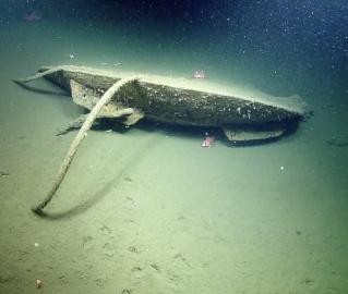 Mystery trawl door