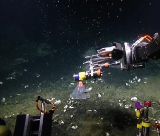 Sampling bubbles with Hercules manipulator
