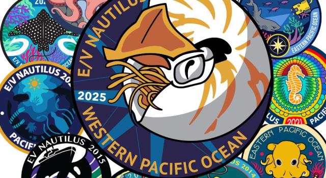 2025 patch winner design centered