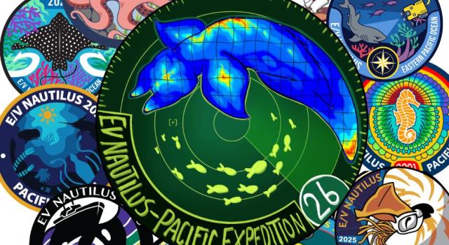 2026 patch contest collage