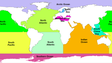 Labeled map of global ocean basins