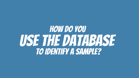 Placecard - How do you use the database to identify a sample?