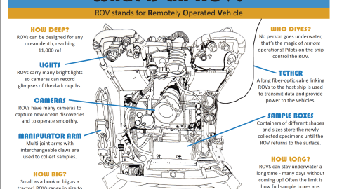 ROV Graphic