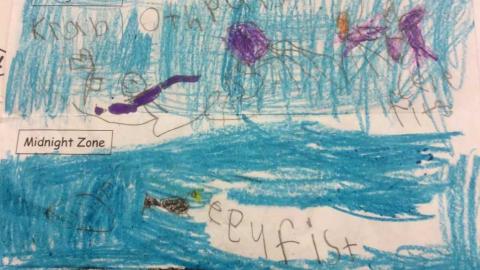 Student work example for Ocean Zone lesson
