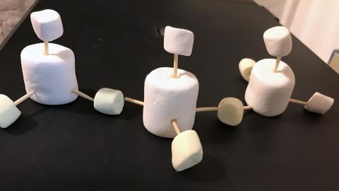 Marshmallow and toothpick models of silicate rock structure