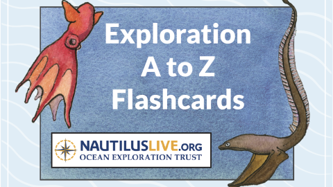 Watercolor painting of dumbo octopus and gulper eel surround text Exploration A to Z Flashcards