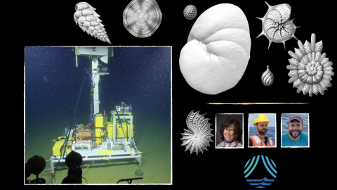 Image collage of the ABISS lander underwater and Haeckel forams drawings in black and white
