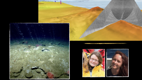 Collage of methane seep and a multibeam mapping cross section