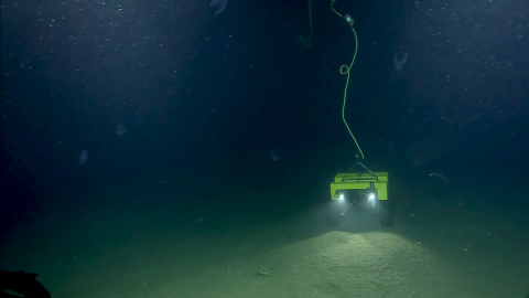 Image of dark blue water with a small yellow robotic vehicle with treads on a grey sedimented seafloor.  Two headlights shine forward from the vehicle and a yellow corkscrew cable rises from the vehicle out the top of the frame