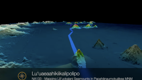 Mapping the Lili’uokalani Underwater Mountain Chain (Papahānaumokuākea Marine National Monument)