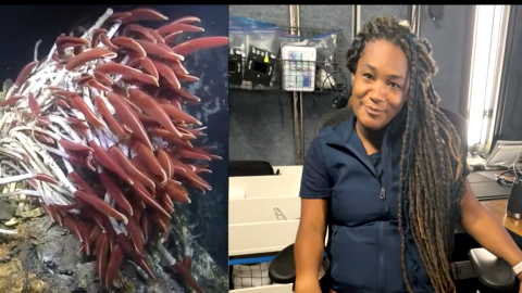 Side by side view of Dijanna Figueroa and tubeworms her favorite ocean animal