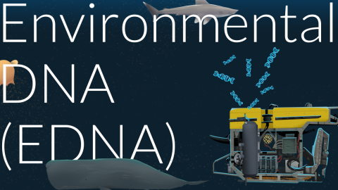 Environmental DNA (eDNA)