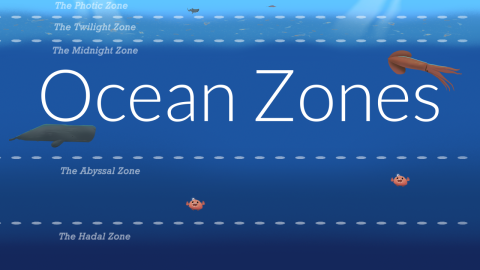 Ocean Zones (Teaching Animation)