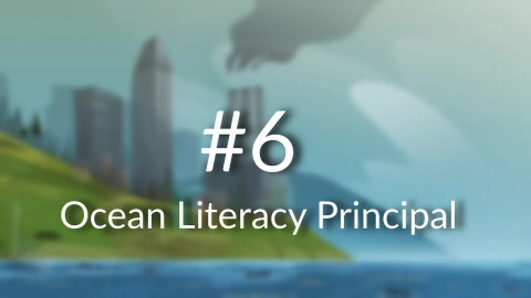 Ocean Literacy Principle 6: Humans and Oceans Are Interconnected