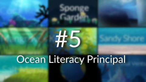 Ocean Literacy Principle 5: The Ocean Supports Earth’s Diversity