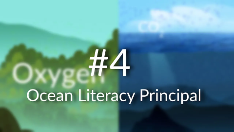 Ocean Literacy Principle 4: The Ocean Makes Earth Habitable