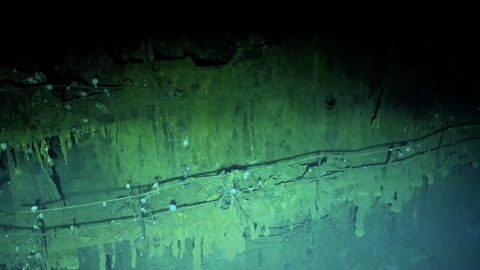 First Visual Survey of IJN Akagi 赤城 - Historic Battle of Midway Shipwreck