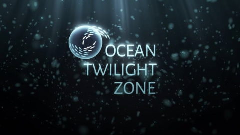 Updated Mesobot Provides Stunning Twilight Zone Ocean Footage