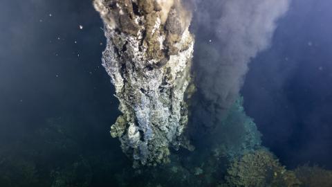 hydrothermal vents endeavour