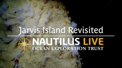 Breathtaking Biodiversity of Jarvis Island Revisited