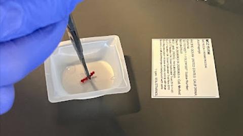 Sequencing DNA image