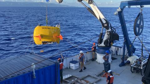 Deep Sea Collaboration: ROV Hercules and AUV Sentry Team Up in American Samoa