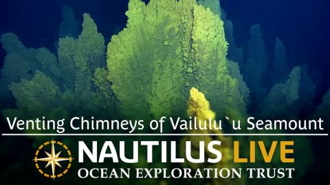 Venting Chimneys of Vailuluʻu Seamount