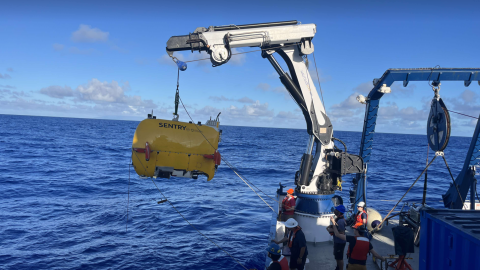  WHOI's AUV Sentry.produces bathymetric, sidescan, subbottom, and magnetic maps of the seafloor. 