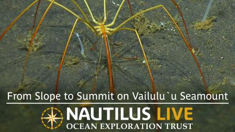 Exploring the Slope of Vailulu'u Seamount