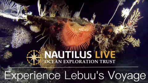 Experience Lebuu's Voyage images