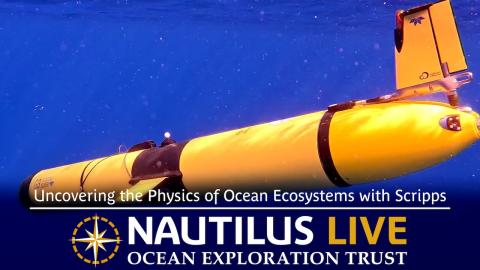 Uncovering the Physics of Ocean Ecosystems with Scripps
