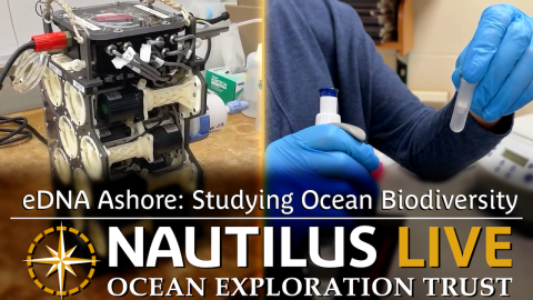 eDNA Ashore: Studying Ocean Biodiversity