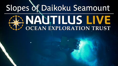 The Sulfurous Slopes of Daikoku Seamount