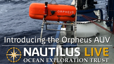 Introducing the Orpheus AUV