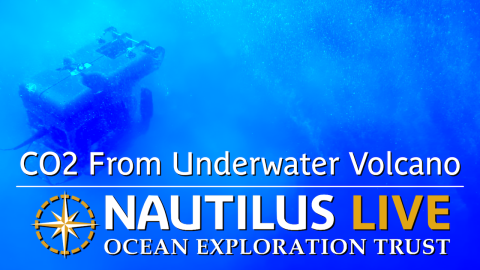 Beautiful CO2 Bubbles From Underwater Volcano
