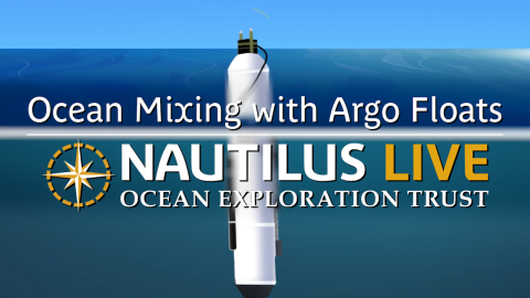Understanding Ocean Mixing with Argo Floats 