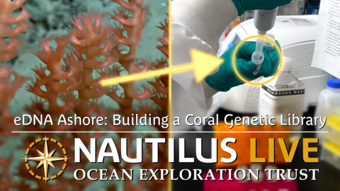 eDNA Ashore: Building a Coral Genetic Library 
