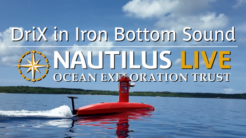 Discovering Shipwrecks with USV DriX