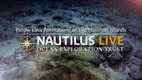 Pillow Lava Formations in the Deep Sea of the Marshall Islands 